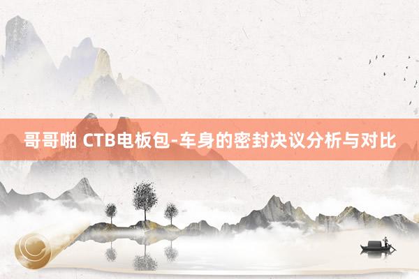 哥哥啪 CTB电板包-车身的密封决议分析与对比