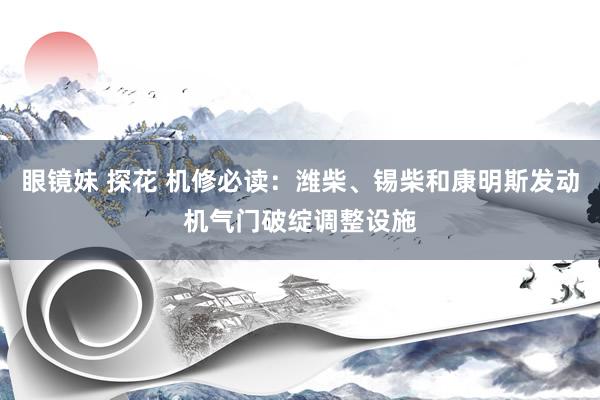 眼镜妹 探花 机修必读：潍柴、锡柴和康明斯发动机气门破绽调整设施