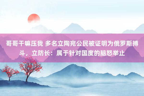 哥哥干嘛压我 多名立陶宛公民被证明为俄罗斯搏斗，立防长：属于针对国度的脑怒举止