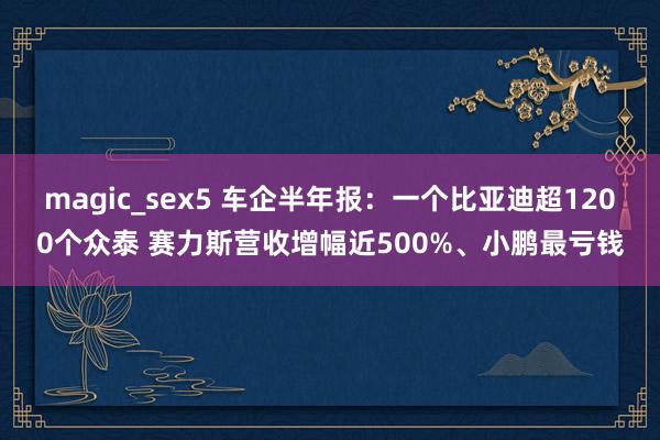 magic_sex5 车企半年报：一个比亚迪超1200个众泰 赛力斯营收增幅近500%、小鹏最亏钱