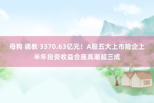 母狗 调教 3370.63亿元！A股五大上市险企上半年投资收益合座高潮超三成