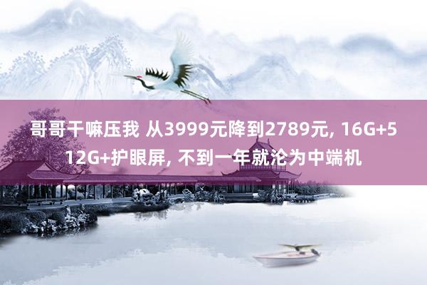 哥哥干嘛压我 从3999元降到2789元， 16G+512G+护眼屏， 不到一年就沦为中端机