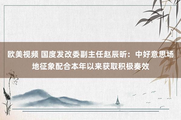 欧美视频 国度发改委副主任赵辰昕：中好意思场地征象配合本年以来获取积极奏效