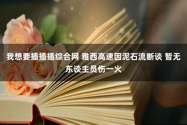 我想要插插插综合网 雅西高速因泥石流断谈 暂无东谈主员伤一火