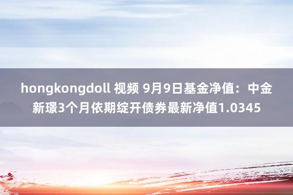 hongkongdoll 视频 9月9日基金净值：中金新璟3个月依期绽开债券最新净值1.0345