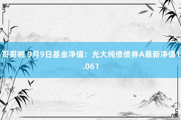 哥哥啪 9月9日基金净值：光大纯债债券A最新净值1.061