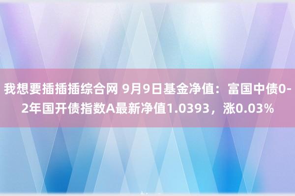 我想要插插插综合网 9月9日基金净值：富国中债0-2年国开债指数A最新净值1.0393，涨0.03%