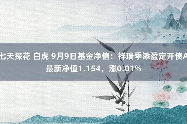 七天探花 白虎 9月9日基金净值：祥瑞季添盈定开债A最新净值1.154，涨0.01%