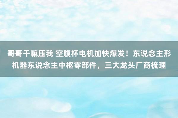 哥哥干嘛压我 空腹杯电机加快爆发！东说念主形机器东说念主中枢零部件，三大龙头厂商梳理