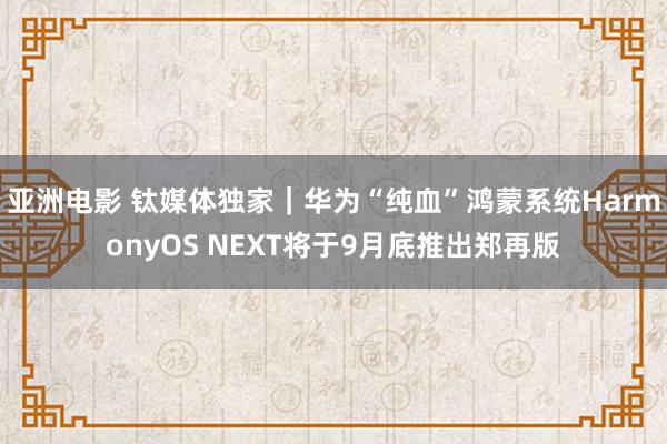 亚洲电影 钛媒体独家｜华为“纯血”鸿蒙系统HarmonyOS NEXT将于9月底推出郑再版