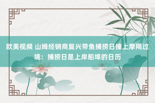 欧美视频 山姆经销商复兴带鱼捕捞日撞上摩羯过境：捕捞日是上岸船埠的日历