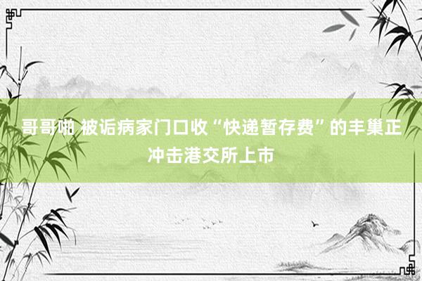 哥哥啪 被诟病家门口收“快递暂存费”的丰巢正冲击港交所上市