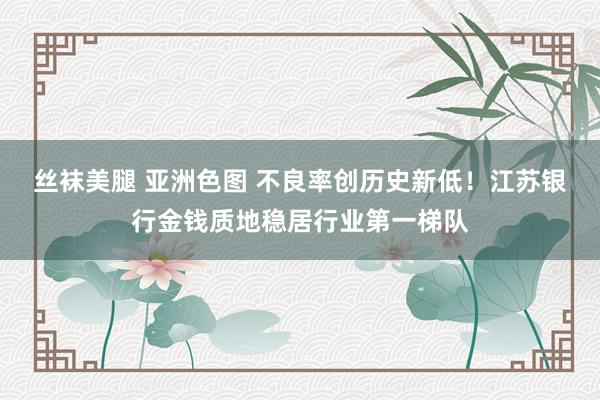 丝袜美腿 亚洲色图 不良率创历史新低！江苏银行金钱质地稳居行业第一梯队