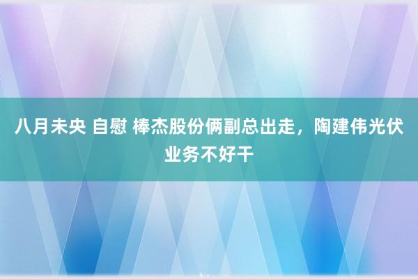 八月未央 自慰 棒杰股份俩副总出走，陶建伟光伏业务不好干