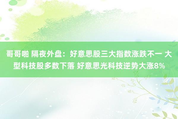 哥哥啪 隔夜外盘：好意思股三大指数涨跌不一 大型科技股多数下落 好意思光科技逆势大涨8%