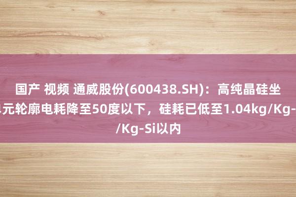 国产 视频 通威股份(600438.SH)：高纯晶硅坐蓐的单元轮廓电耗降至50度以下，硅耗已低至1.04kg/Kg-Si以内