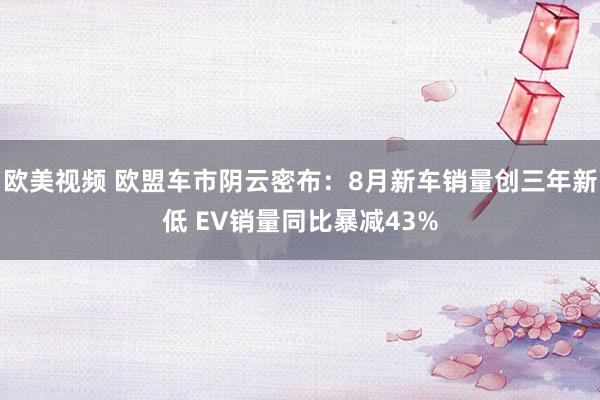 欧美视频 欧盟车市阴云密布：8月新车销量创三年新低 EV销量同比暴减43%