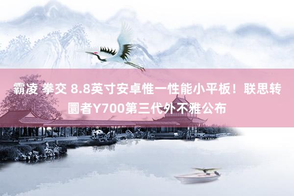 霸凌 拳交 8.8英寸安卓惟一性能小平板！联思转圜者Y700第三代外不雅公布