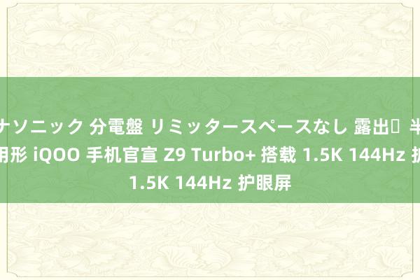 パナソニック 分電盤 リミッタースペースなし 露出・半埋込両用形 iQOO 手机官宣 Z9 Turbo+ 搭载 1.5K 144Hz 护眼屏