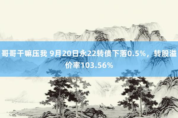 哥哥干嘛压我 9月20日永22转债下落0.5%，转股溢价率103.56%