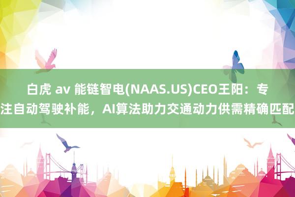 白虎 av 能链智电(NAAS.US)CEO王阳：专注自动驾驶补能，AI算法助力交通动力供需精确匹配