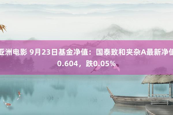 亚洲电影 9月23日基金净值：国泰致和夹杂A最新净值0.604，跌0.05%