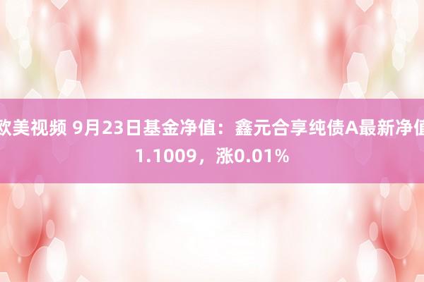 欧美视频 9月23日基金净值：鑫元合享纯债A最新净值1.1009，涨0.01%