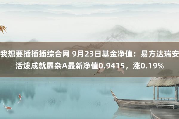 我想要插插插综合网 9月23日基金净值：易方达瑞安活泼成就羼杂A最新净值0.9415，涨0.19%