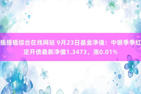 插插插综合在线网站 9月23日基金净值：中银季季红定开债最新净值1.3473，涨0.01%