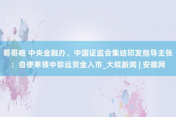 哥哥啪 中央金融办、中国证监会集结印发指导主张：自便率领中弥远资金入市_大皖新闻 | 安徽网