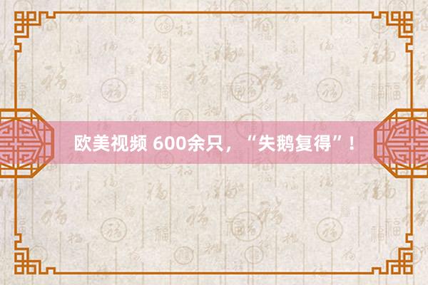 欧美视频 600余只，“失鹅复得”！