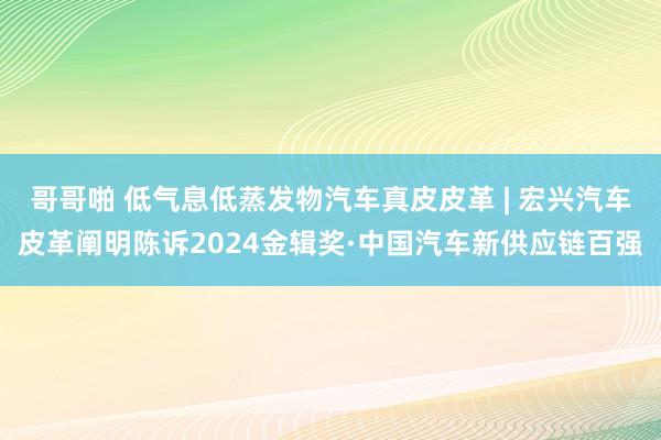 哥哥啪 低气息低蒸发物汽车真皮皮革 | 宏兴汽车皮革阐明陈诉2024金辑奖·中国汽车新供应链百强