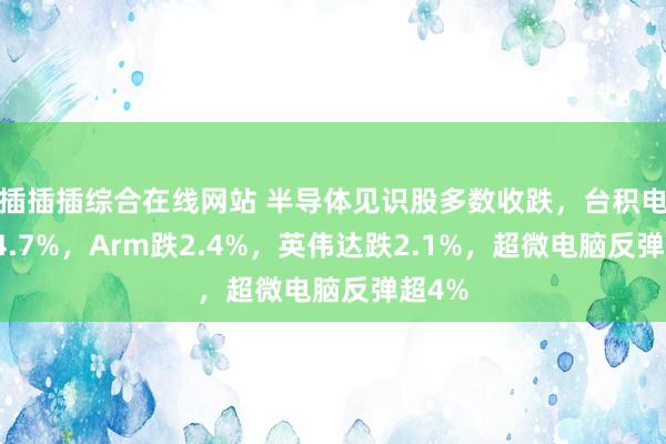 插插插综合在线网站 半导体见识股多数收跌，台积电跌超4.7%，Arm跌2.4%，英伟达跌2.1%，超微电脑反弹超4%