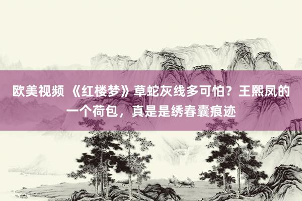 欧美视频 《红楼梦》草蛇灰线多可怕？王熙凤的一个荷包，真是是绣春囊痕迹