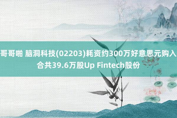 哥哥啪 脑洞科技(02203)耗资约300万好意思元购入合共39.6万股Up Fintech股份