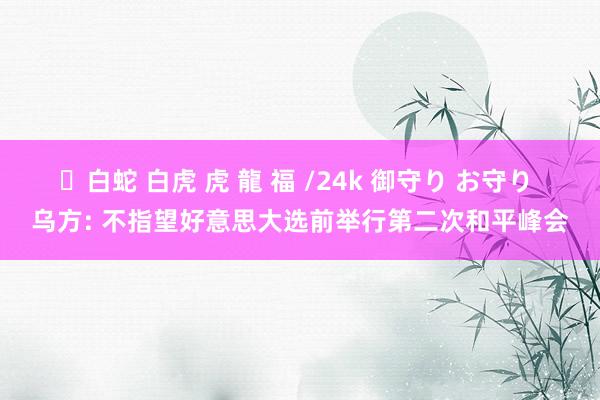 ✨白蛇 白虎 虎 龍 福 /24k 御守り お守り 乌方: 不指望好意思大选前举行第二次和平峰会