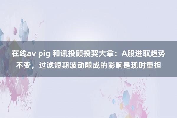 在线av pig 和讯投顾投契大拿：A股进取趋势不变，过滤短期波动酿成的影响是现时重担