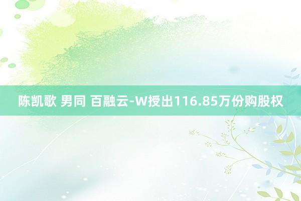 陈凯歌 男同 百融云-W授出116.85万份购股权