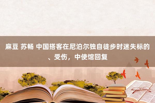 麻豆 苏畅 中国搭客在尼泊尔独自徒步时迷失标的、受伤，中使馆回复