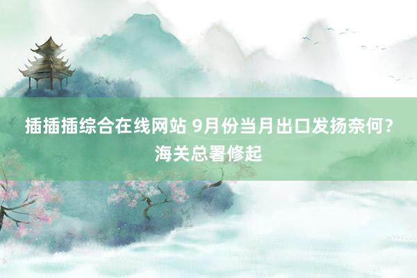 插插插综合在线网站 9月份当月出口发扬奈何？海关总署修起