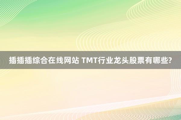 插插插综合在线网站 TMT行业龙头股票有哪些?