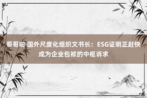 哥哥啪 国外尺度化组织文书长：ESG证明正赶快成为企业包袱的中枢诉求