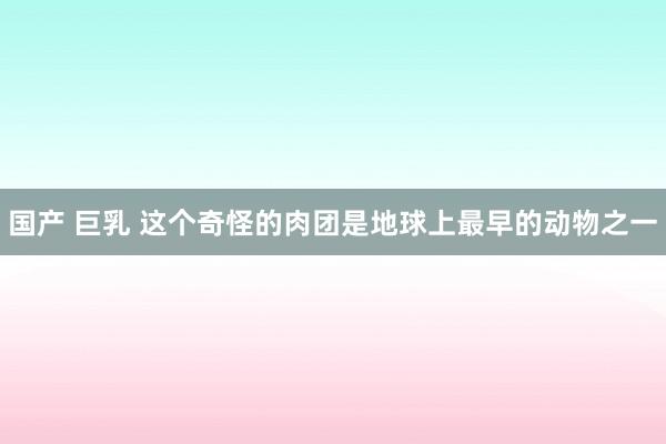 国产 巨乳 这个奇怪的肉团是地球上最早的动物之一