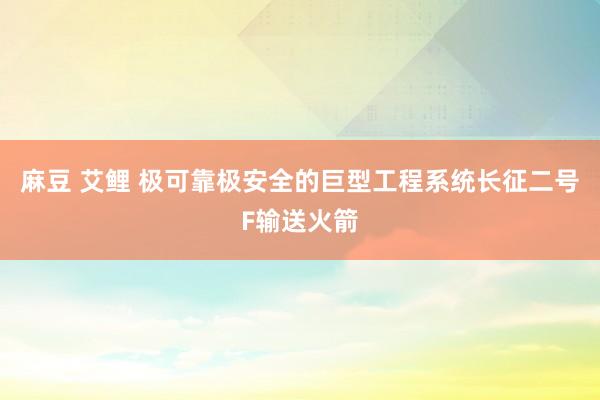 麻豆 艾鲤 极可靠极安全的巨型工程系统长征二号F输送火箭