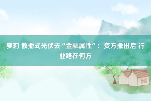 萝莉 散播式光伏去“金融属性”：资方撤出后 行业路在何方