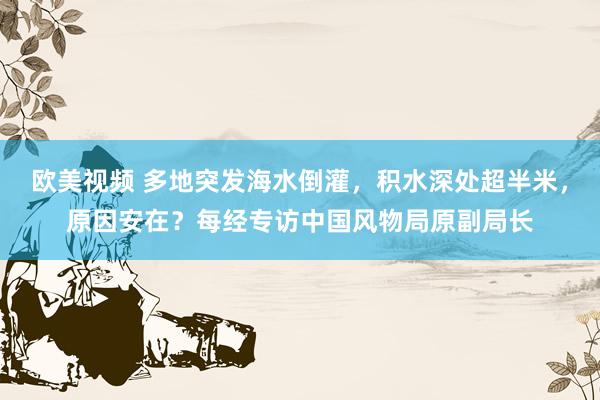 欧美视频 多地突发海水倒灌，积水深处超半米，原因安在？每经专访中国风物局原副局长