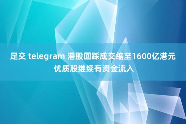 足交 telegram 港股回踩成交缩至1600亿港元 优质股继续有资金流入