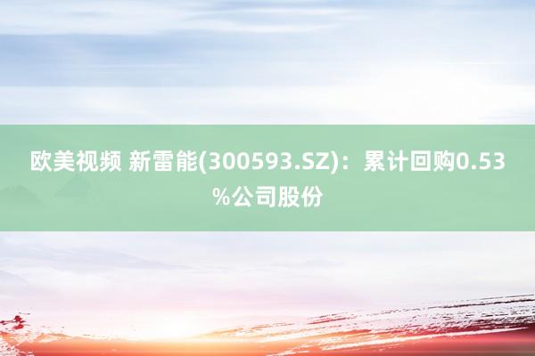 欧美视频 新雷能(300593.SZ)：累计回购0.53%公司股份