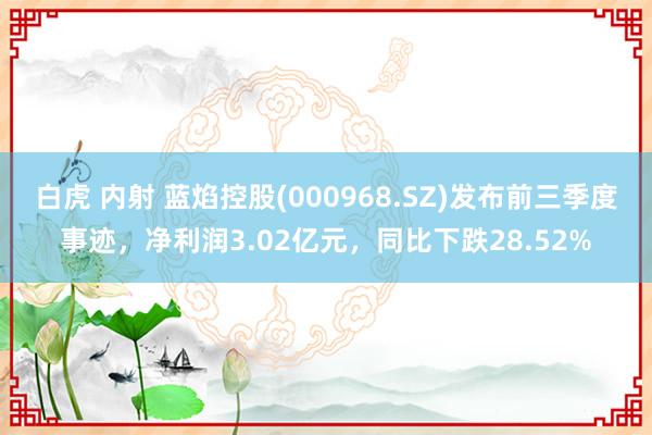 白虎 内射 蓝焰控股(000968.SZ)发布前三季度事迹，净利润3.02亿元，同比下跌28.52%