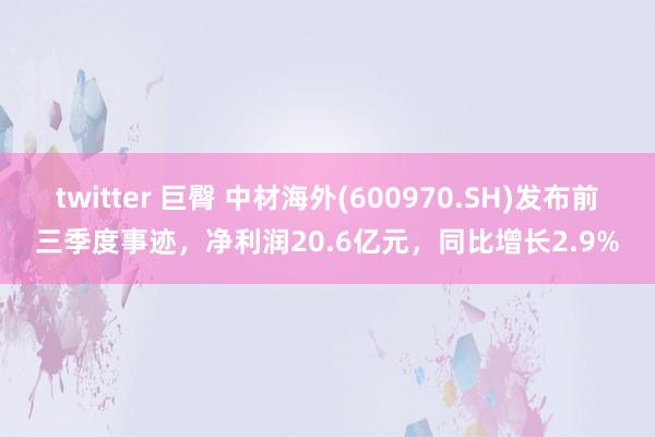 twitter 巨臀 中材海外(600970.SH)发布前三季度事迹，净利润20.6亿元，同比增长2.9%